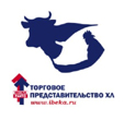 Торговое представитель ХЛ (Ибека) Торговое представитель ХЛ (Ибека)